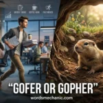 gofer or gopher