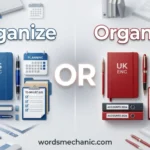 Organize or Organise