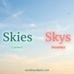 skies or skys