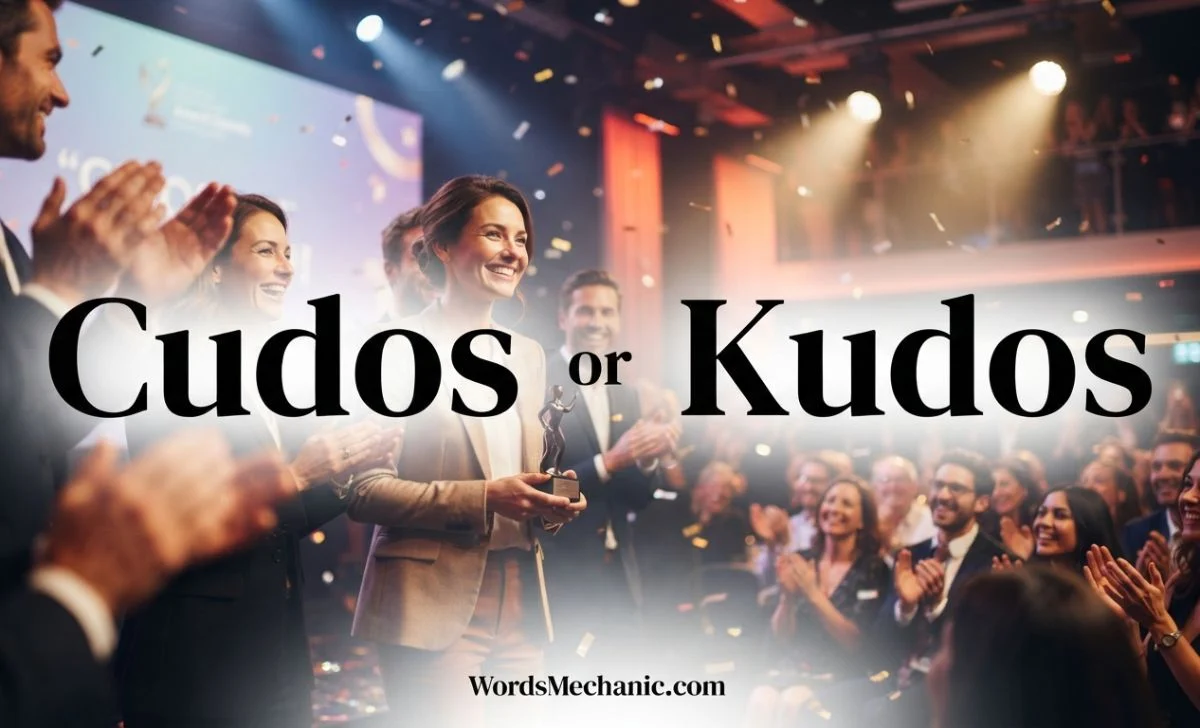 cudos or kudos