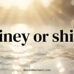 shiney or shiny